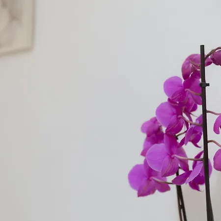 Apartman Benalmar Playa Benalmádena